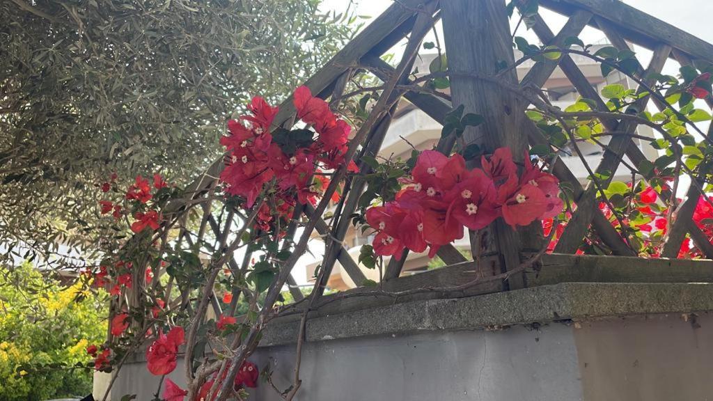 Casa Adele Διαμέρισμα Torvaianica Εξωτερικό φωτογραφία